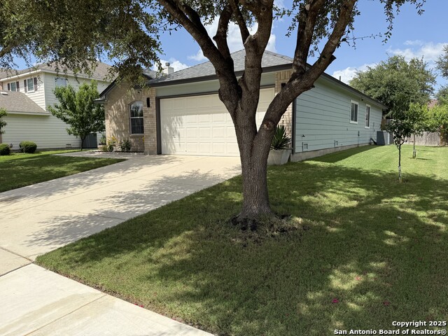 16238 Galloping Oak, Selma, Texas image 4