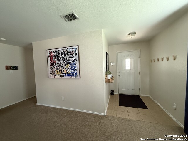 16238 Galloping Oak, Selma, Texas image 7