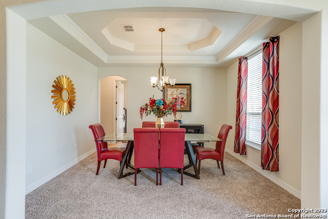 531 Lilly Bluff, Castroville, Texas image 10