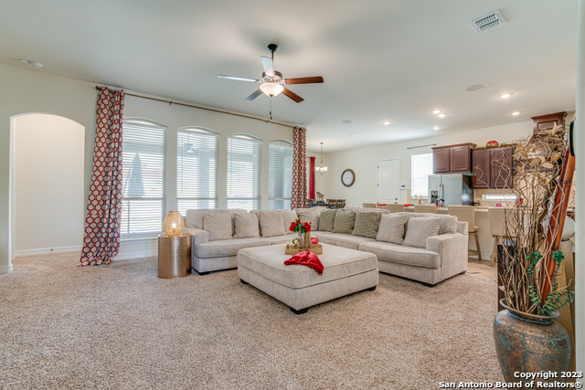 531 Lilly Bluff, Castroville, Texas image 13
