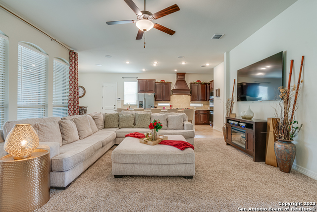 531 Lilly Bluff, Castroville, Texas image 14