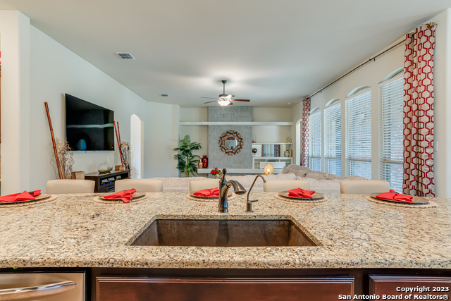 531 Lilly Bluff, Castroville, Texas image 21