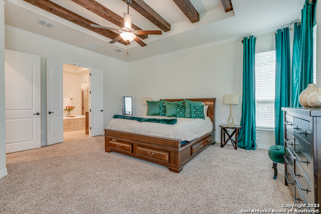 531 Lilly Bluff, Castroville, Texas image 27