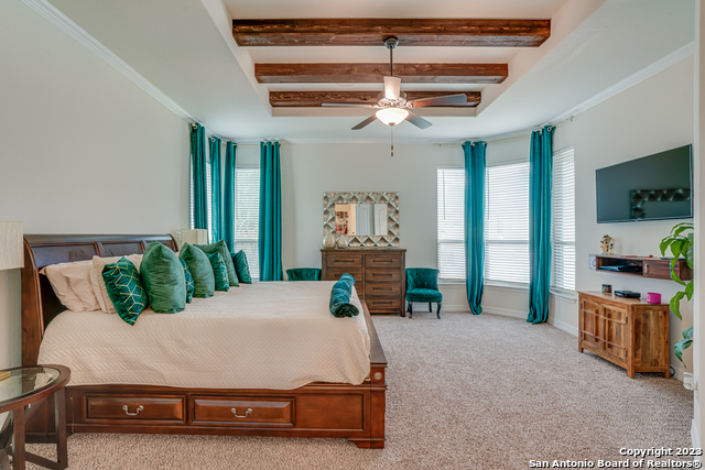531 Lilly Bluff, Castroville, Texas image 28