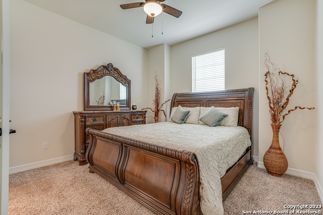 531 Lilly Bluff, Castroville, Texas image 35