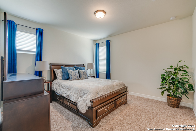 531 Lilly Bluff, Castroville, Texas image 42