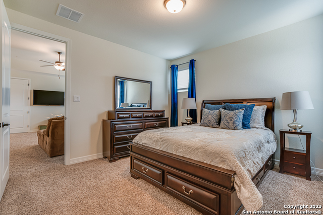 531 Lilly Bluff, Castroville, Texas image 43