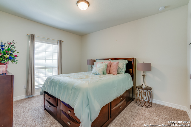 531 Lilly Bluff, Castroville, Texas image 47