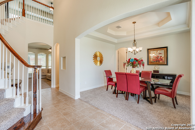 531 Lilly Bluff, Castroville, Texas image 9