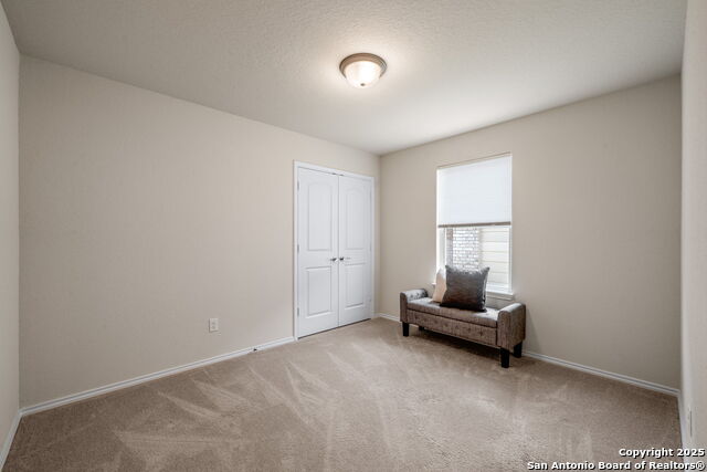 4823 Cropland, San Antonio, Texas image 13