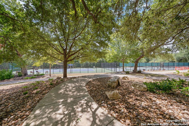4823 Cropland, San Antonio, Texas image 25