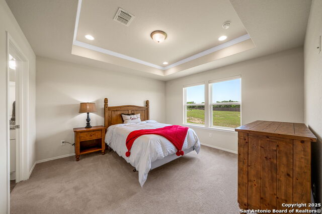 4823 Cropland, San Antonio, Texas image 9