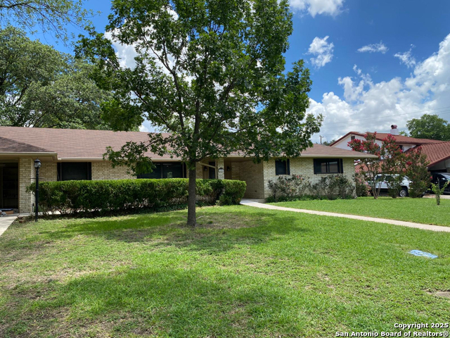 749 Windrock, Windcrest, Texas image 3