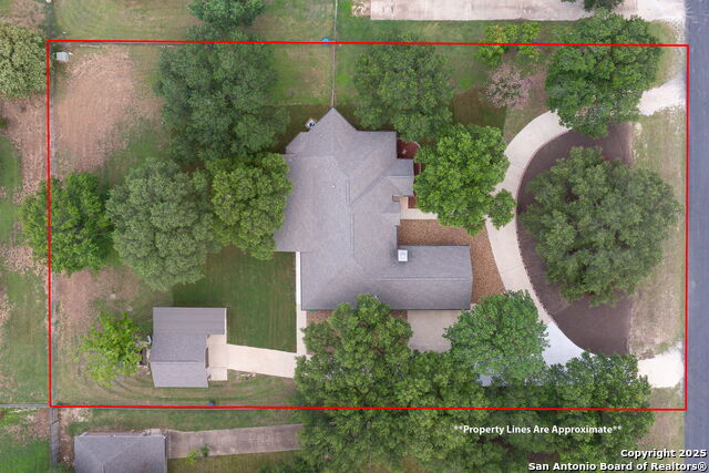 124 County Road 4712, Castroville, Texas image 6