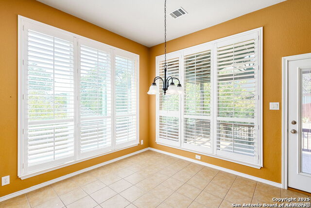 8603 Artesia Gap, Helotes, Texas image 14