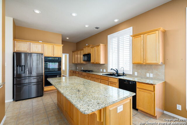 8603 Artesia Gap, Helotes, Texas image 15