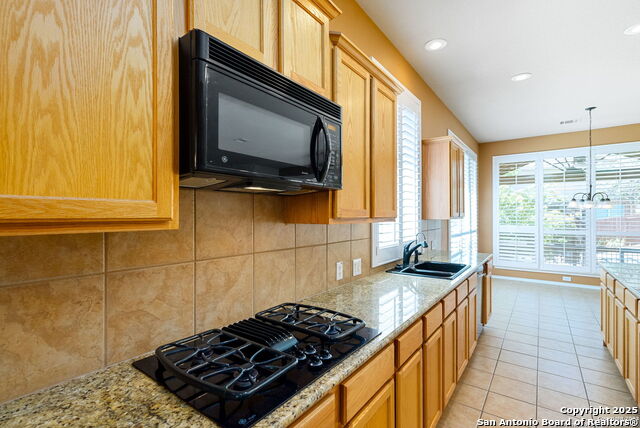 8603 Artesia Gap, Helotes, Texas image 16