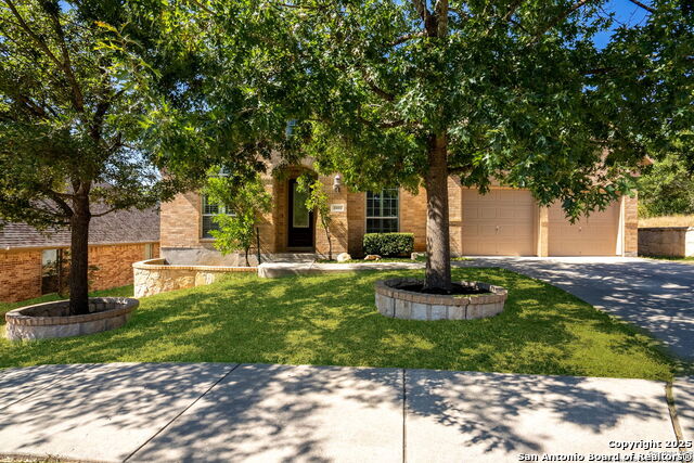 8603 Artesia Gap, Helotes, Texas image 2