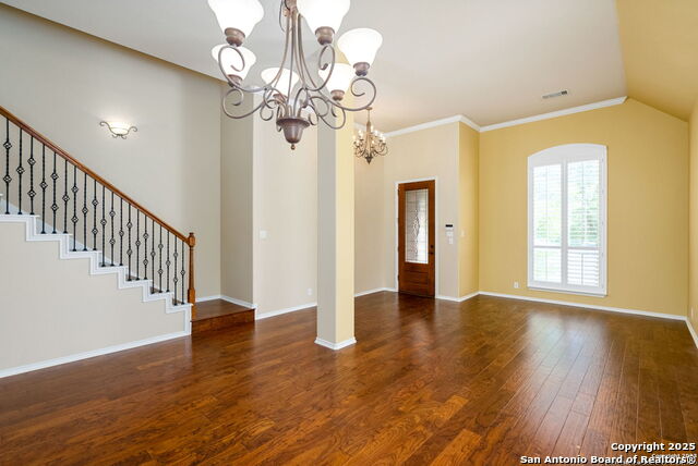 8603 Artesia Gap, Helotes, Texas image 9