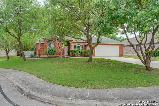 9212 Holly Star, Helotes, Texas image 2