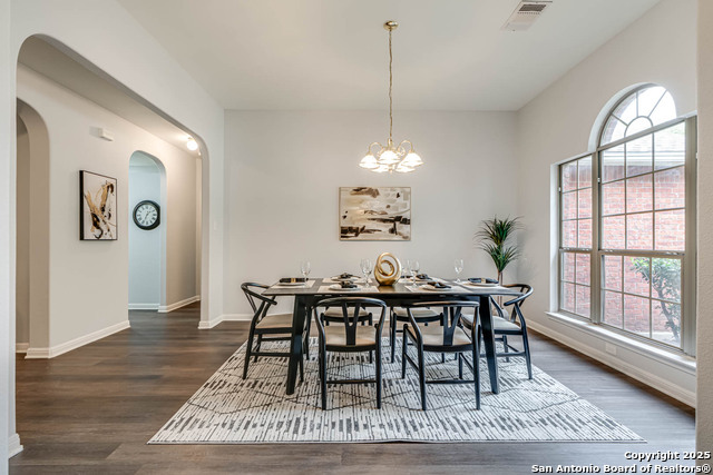 9212 Holly Star, Helotes, Texas image 6