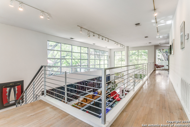 130 Barilla Place, Alamo Heights, Texas image 19