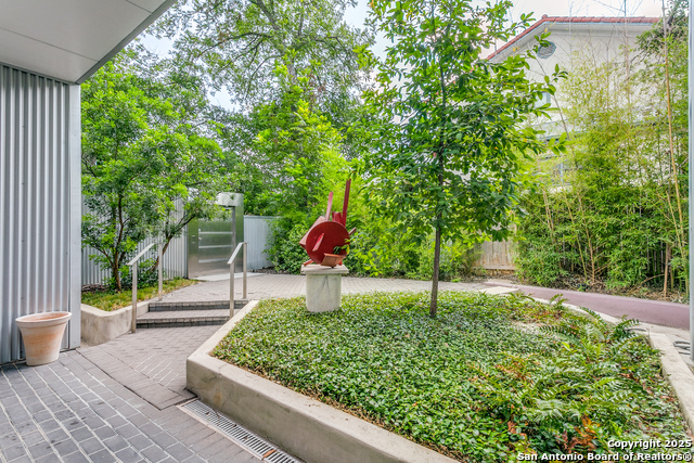 130 Barilla Place, Alamo Heights, Texas image 3