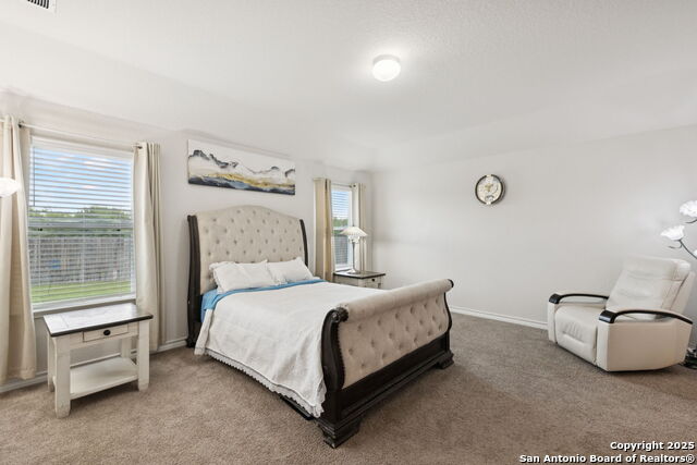 916 Rolling River, Cibolo, Texas image 16