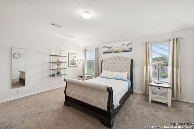 916 Rolling River, Cibolo, Texas image 17