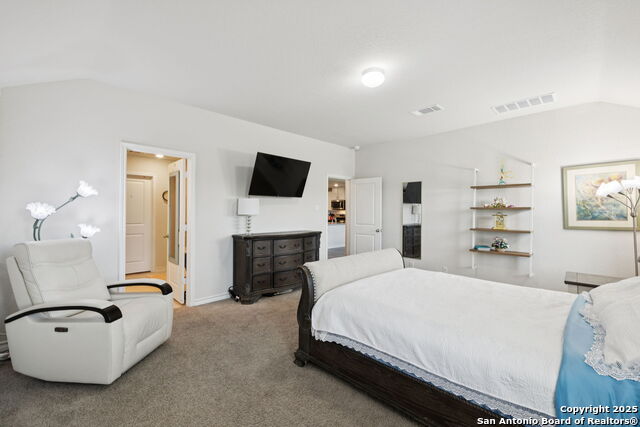 916 Rolling River, Cibolo, Texas image 19