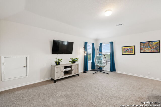 916 Rolling River, Cibolo, Texas image 25