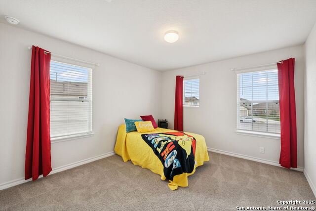 916 Rolling River, Cibolo, Texas image 30