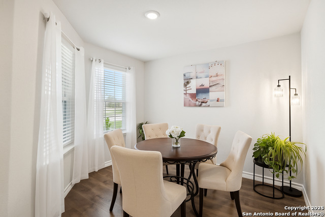 916 Rolling River, Cibolo, Texas image 7