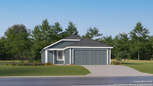 791 Bullsnake Trl, New Braunfels, Texas image 1