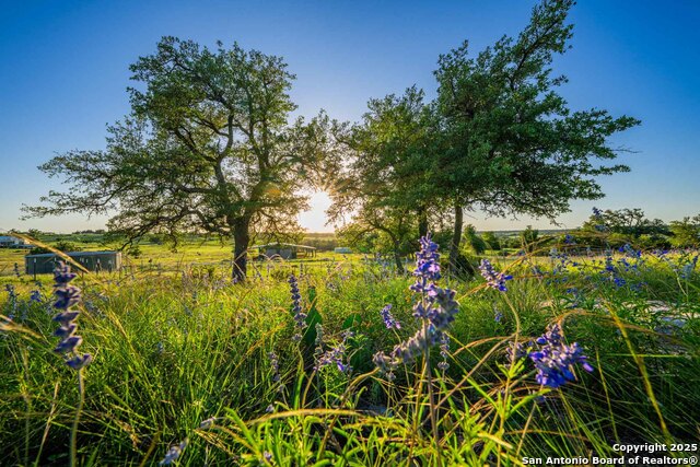 289 Scenic Outlook, Fredericksburg, Texas image 27