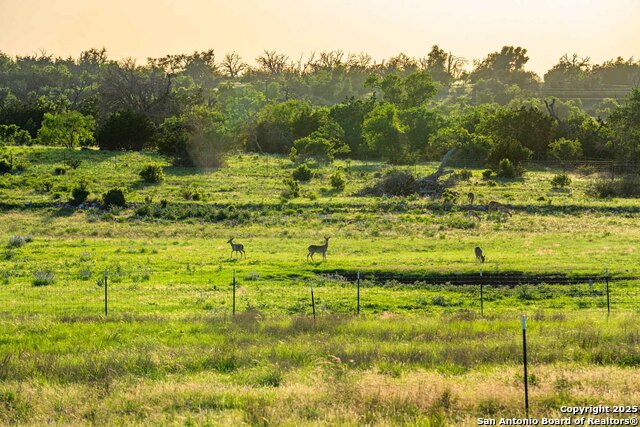 289 Scenic Outlook, Fredericksburg, Texas image 35