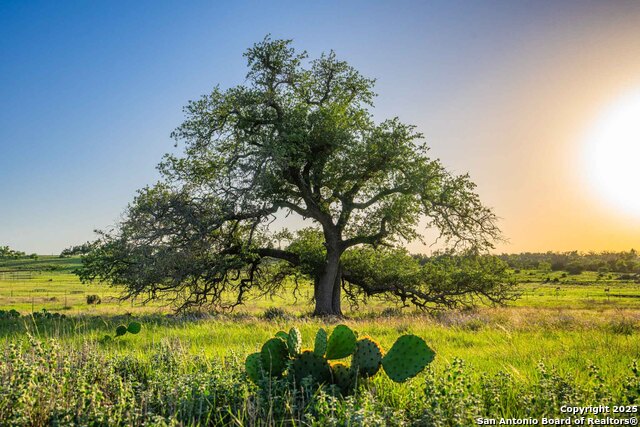 289 Scenic Outlook, Fredericksburg, Texas image 4