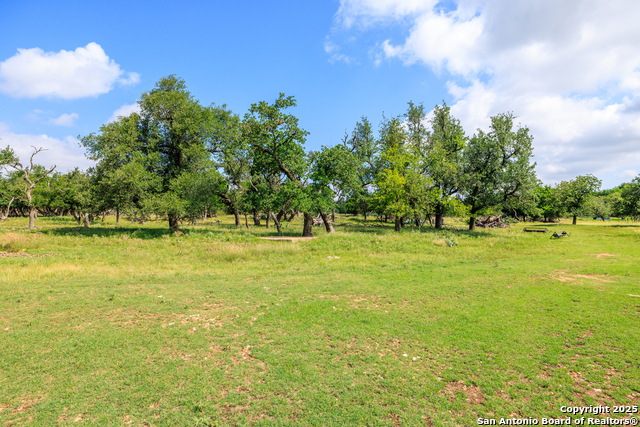 8218 N Us Hwy 87, Fredericksburg, Texas image 19