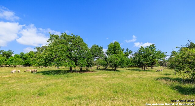 8218 N Us Hwy 87, Fredericksburg, Texas image 22