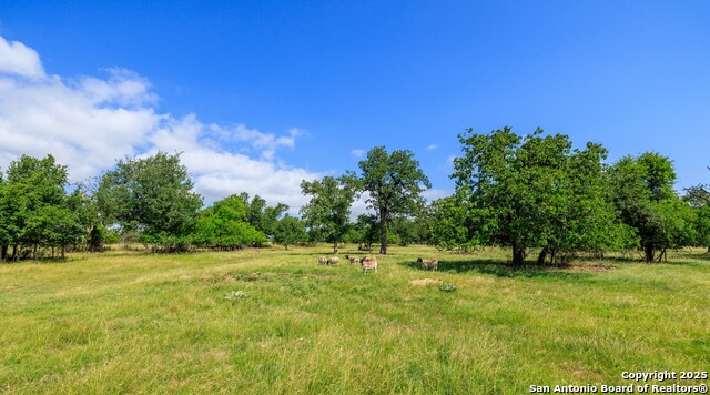 8218 N Us Hwy 87, Fredericksburg, Texas image 24
