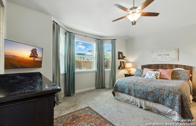4921 Drifter Oaks, Saint Hedwig, Texas image 12