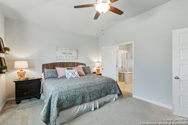 4921 Drifter Oaks, Saint Hedwig, Texas image 13