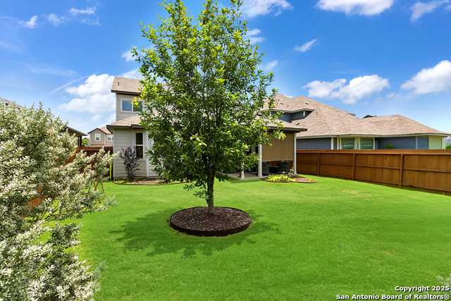 4921 Drifter Oaks, Saint Hedwig, Texas image 31