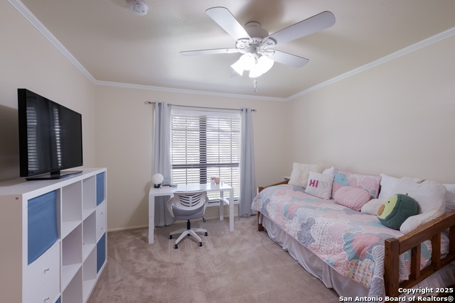 1115 Cardinal St, Pleasanton, Texas image 25