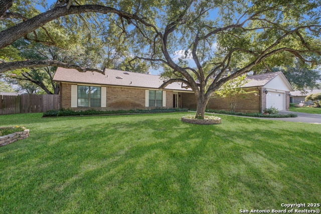 1115 Cardinal St, Pleasanton, Texas image 4