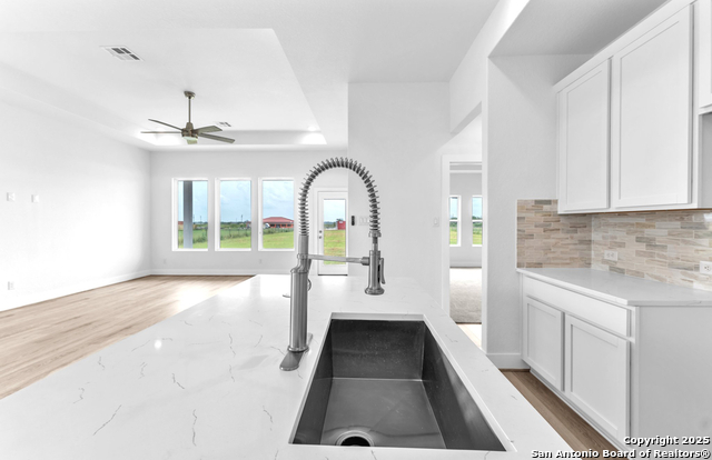 285 Medina Verde Dr, Natalia, Texas image 17