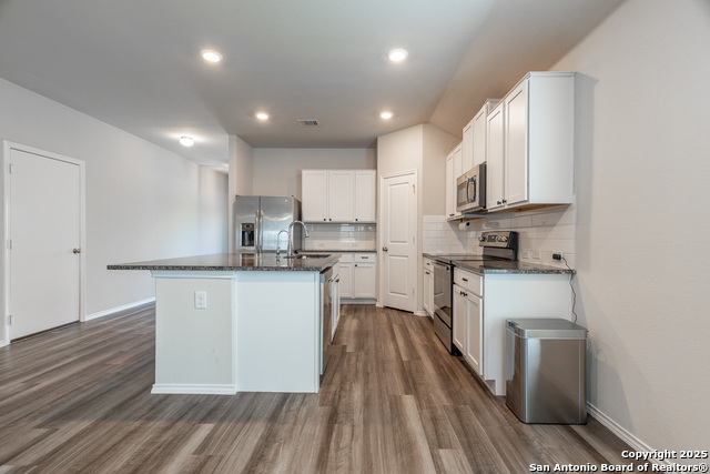 2931 Daisy Meadow, New Braunfels, Texas image 13
