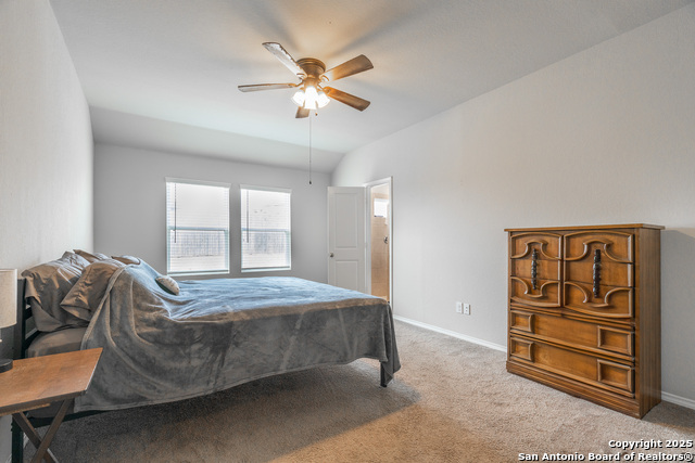 2931 Daisy Meadow, New Braunfels, Texas image 17