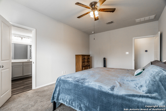 2931 Daisy Meadow, New Braunfels, Texas image 19