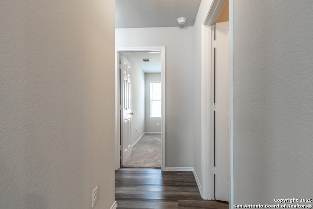 2931 Daisy Meadow, New Braunfels, Texas image 24